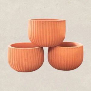 Striped Terracotta Pot