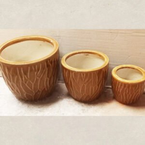 Porcelain Pots Planted With Brown Plants