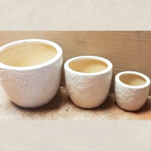 Porcelain Pots Planted With White Plants