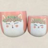 Ceramic Pots Planted With Cat-Shaped Plants