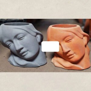 Artistic Shape Plant Pots
